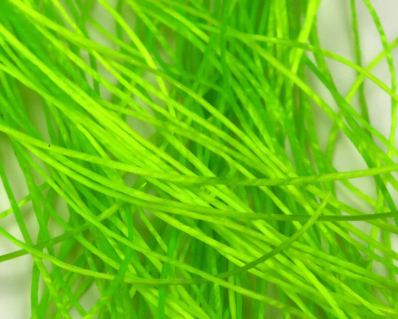 Flex Floss - Image 8