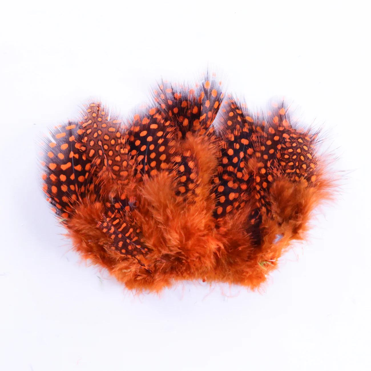 Hareline Strung Guinea Feather - Image 7