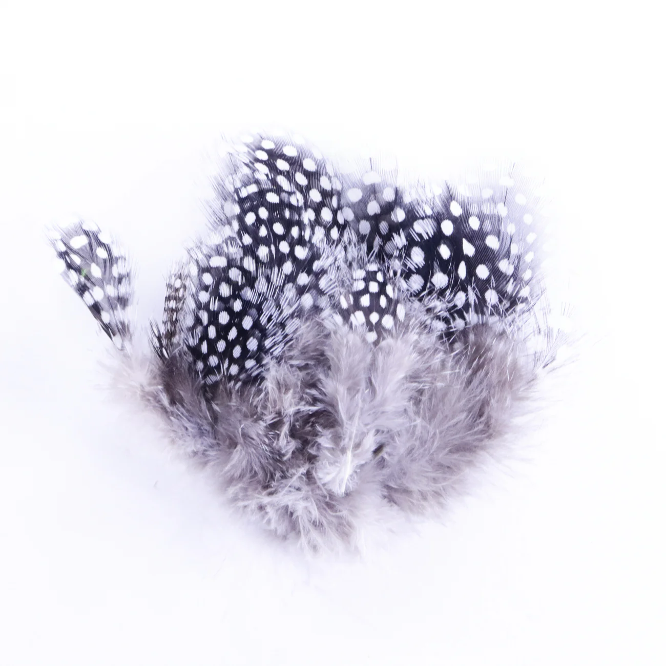 Hareline Strung Guinea Feather - Image 8