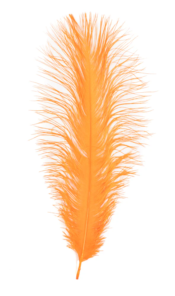 MFC Ostrich Plumes - Image 14