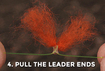 New Zealand Strike Indicator - Image 5